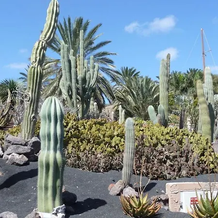 Casita Noelia, Panorama Jardin Costa Calma